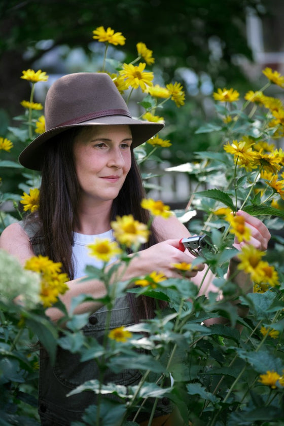 Marie Clark, Author
